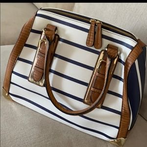 Blue and White Aldo Bag